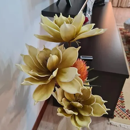 M.a.n Apartament